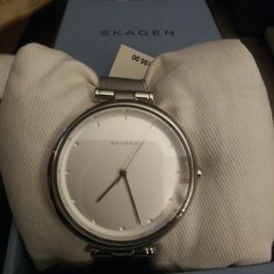 Womens Skagen tanja silver dial stainless